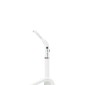 lampe Radii plus produit dentaire équipement dentaire
