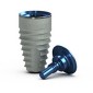 TRX : Tapered Internal Implant, Mountless, RBT