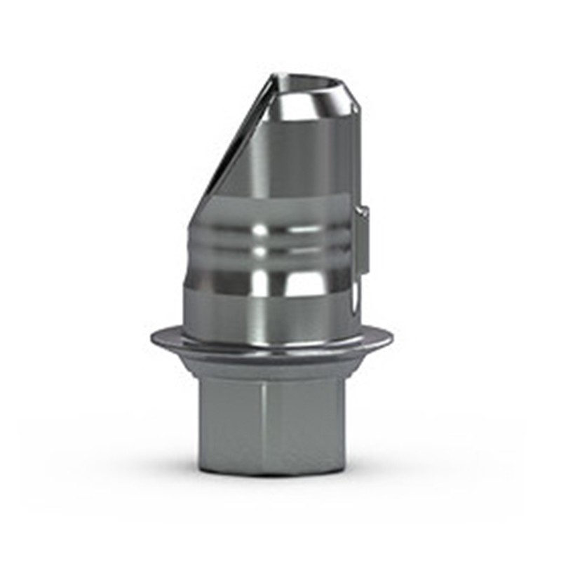 Hybrid Abutment base Hexed