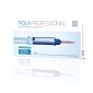 POLA PROFESSIONAL
