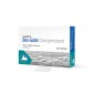 Membrane Bio-Gide compressed