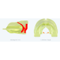 Myobrace dentition permanente classe III étape 1 - P-3N