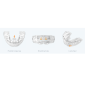 Myobrace Adult Aligner étape3 – AA3