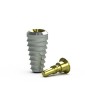 TRXP: Tapered Platform Switch Implant, RBT